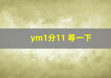 ym1分11 等一下